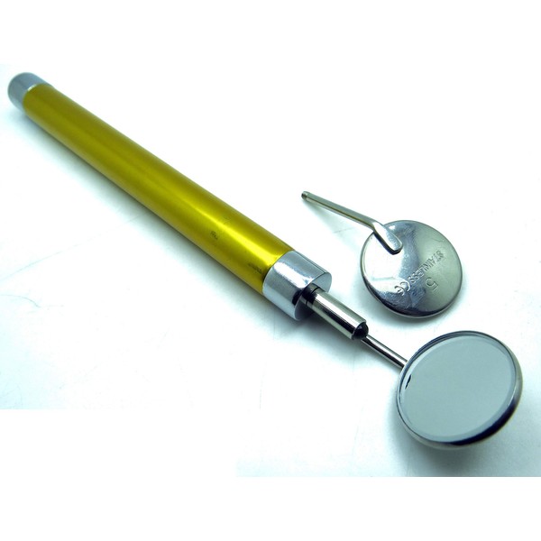 10× Dental Mirror Golden Handle with Bright Light Removable Mirrors