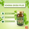 Ribeto Ginkgo Leaf Extract Plus, 30 Day Supply, Made in