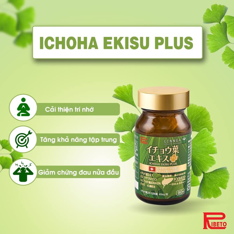 Ribeto Ginkgo Leaf Extract Plus, 30 Day Supply, Made in