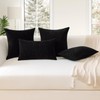 JOTOM Set of 2 Cushion Covers 30x50 cm Soft Chenille