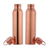 Ancient Impex Seamless Leak-Proof Water Bottle Set 1000 Ml (33.81