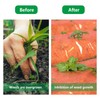 Red Mulch Professional Large Coverage Increases Harvest PE Garden Plastic