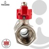 tecuro Ball Valve with Union Nut Rp 3/4 Inch x