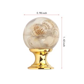 Wwxuanke Resin Amber Shell Tiger Eye Gold Cabinet Knob Drawer Door and Window Knob Kitchen Furniture Hardware Accessories 6 Pack