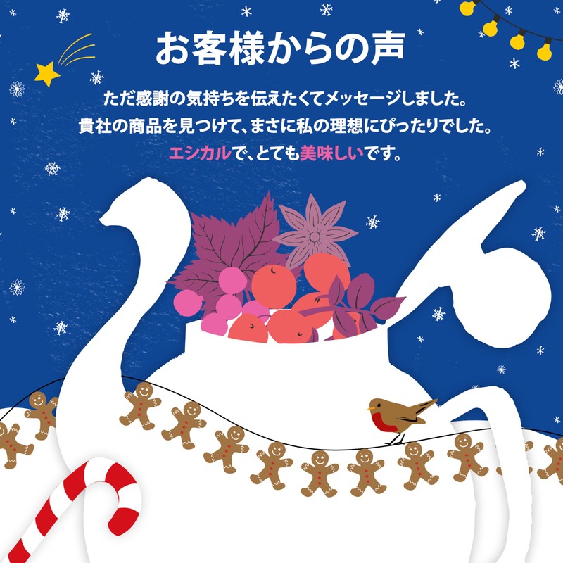 Clipper Organic Herbal Tea Cranberry & Cinnamon 20 P