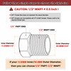 Kozelo Set of 3 1/2" Female NPT to 1/4" Female