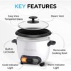 Courant Rice Cooker 8-Cup (Cooked), Removable Non-Stick Bowl, One Touch