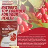 AuranC-H Berberine HCL Supplement Berberine 1200mg Serving HCL - Plus