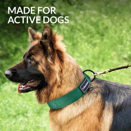 CollarDirect Hochwertiges, strapazierfähiges Nylon-Halsband für Hunde, groß, mittelgroß, klein, Welpen, 4 Farben, Grün, Schwarz, Rot, Lila, verstellbare Länge, langlebig (Halsumfang 38,1 - 58,1 cm,