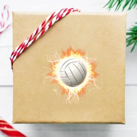 Volleyball Stickers Self-Adhesive Sports Ball Sticker Flame Volleyball Theme Party Decor Envelope Gift Bag Seal for Sports Party Supplies, Volleyball Team Gift, Birthday Parties 5"