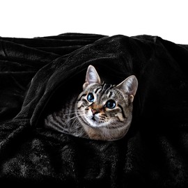 EHC Fleece Blanket Sofa Throw, Cozy Blanket Soft Fluffy Throws for sofa Large Bed and Couch Double, Black, 150x200cm