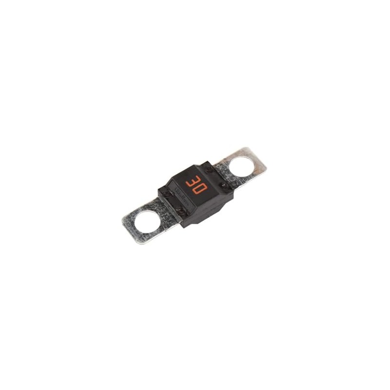 GM Genuine Parts 84070928 30 AMP Fuse