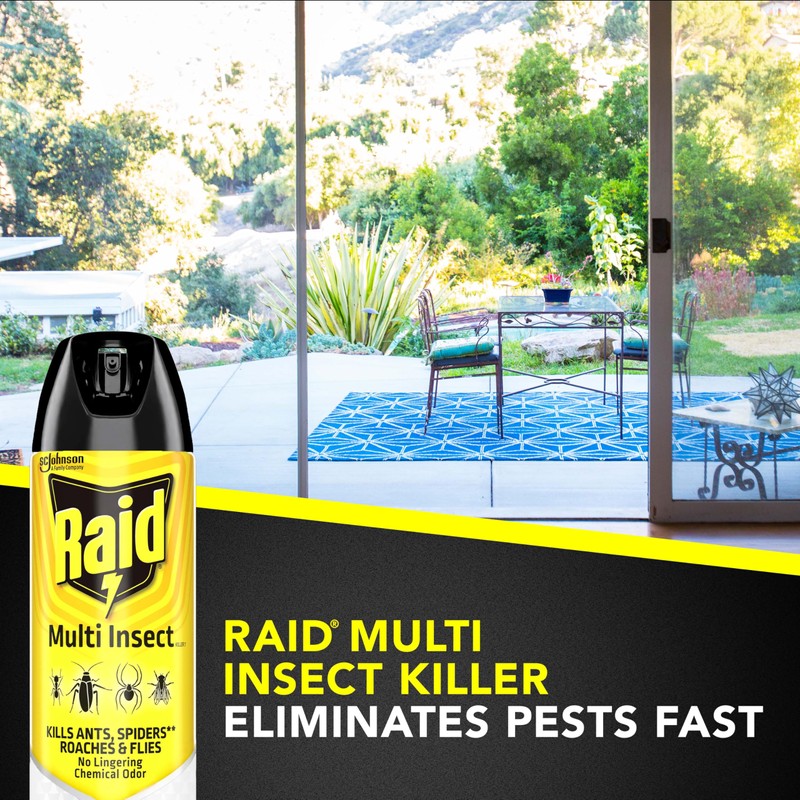 Raid Multi Insect Killer, 15 OZ