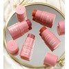 Corazona Multi Stick Blush In Berry Wine