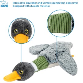 Best Pet Supplies Interactive Squeaky Dog Chew Toy, Ideal Dog Toys for Chewers, Small, Medium & Large Dogs, and Fetch Lovers - Mallard Duck Wing (Gray), Small
