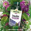 Natures Aid Inulin Powder, 250 g (from Chicory Root, 100%