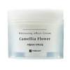 UnKnown Pure Light Camellia Whitening Cream 50ml / 퓨어라이트 카멜리아 미백크림 50ml