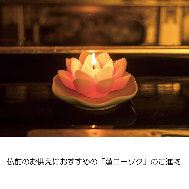 進物 Qing Lotus Light