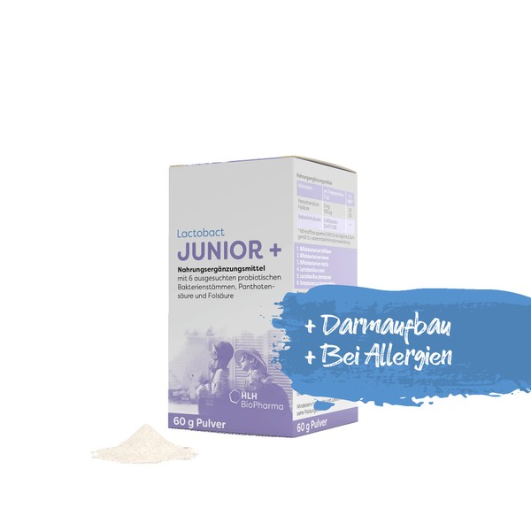 Lactobact Junior+, 60 g, biologically active bacterial strains, intestinal building for children