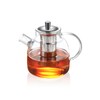 Glass Teapot with Infuser for Loose Leaf Tea TMOST Glass