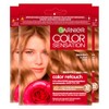 Garnier Color Sensation Color Retouch Permanent Hair Dye - Covers