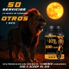 Aminoácidos Bcaas + Glutamina Ocre 1kg Varios Sabores