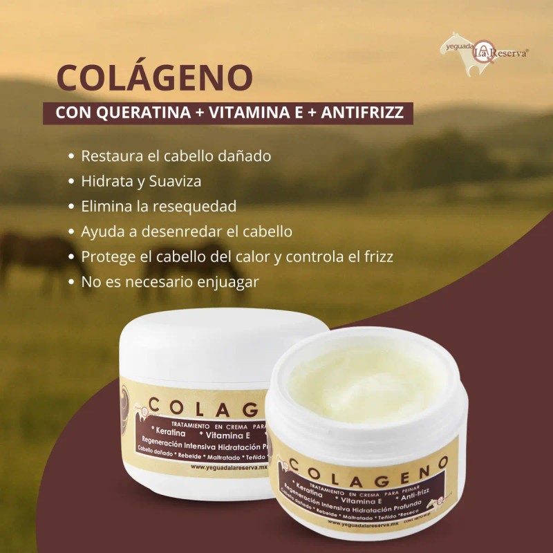 Kit Completo Shampoo Yeguada Reserva Colageno Chico Express