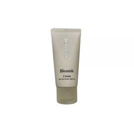 PAPARECIPE Skin Soothing Moisturizing Blemish Cream 50ml / PAPARECIPE 피부진정 보습 블레미쉬 크림 50ml