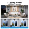 Solar Shed Light Pendant Light Pull wire Chandelier Auto Dusk