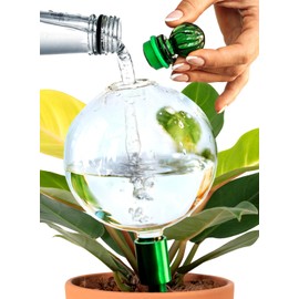 16 Oz Plant Watering Globes For Indoor Plants With Metal Self Watering Planter Insert - Premium XL Glass Hand-blown Globes - Automatic Indoor Planter Waterer, Gift Idea For Gardeners [1, Clear]