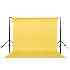 Flashpoint 13' Background Support System