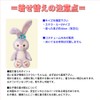 Alice Teddy Bear Stellaru Clothes Change Costume, Cinderella No Main