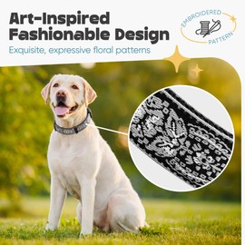 Dog Collar for Medium & Large Dogs - Black Silver Woven Pattern on Long Lasting, Adjustable, Strong and Durable Collars for Dogs - Choose from Stunning Patterns and Colors