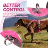 VIVAGLORY Easewalk No Pull Dog Harness, Dog Harness for Training