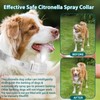 Citronella Dog Bark Collar [NO Spray Refill] Spray Dog Training