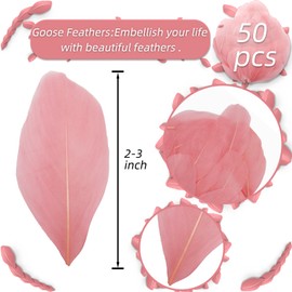 50 Pcs Watermelon Red Craft Feathers, Natural Assorted Colors Goose Feathers for Hats, 2-3 Inch Small Feathers for Crafts, DIY Christmas Hallowmas Thanksgiving Mask Centerpiece Feather