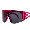ZANLA SUNGLASSESS - STYLE: C5 BLACK/BROWN+PINK