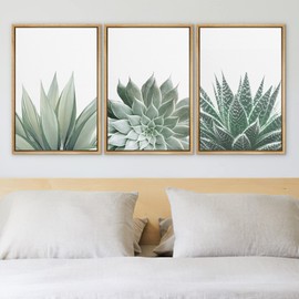 Ashbrook Framed Canvas Print Wall Art Set Green Desert Cactus Succulent Variety Nature Wilderness Photography Modern Art Minimal Chic Colorful for Living Room, Bedroom, Office - 16"x24"x3 Natural