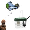 Reptile Water Bowl with Filtration System, Lizard Drinking Fountain, Bearded