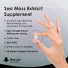 Sea Moss Tablets Extract High Strength 2000mg - Sea Moss