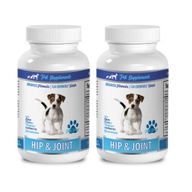 pet Joint Supplement for Dogs - Hip & Joint Support - for Dogs - Chewable - msm for Dogs - 2 Bottle (240 Chewable Tablets)