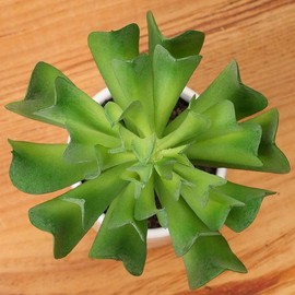 Inspired by Nature Pair of Unique Looking Green Succulent Picks for Fairy Gardens, Crafting, and Embellishing