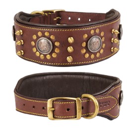 DowgClub | Punk Series Genuine Leather Dog Collar | Full Grain, Saddle Grade, Heavy Duty | Luxury, Stylish, Comfortable, Best for Medium, Large, XL Breeds | (L (Neck Size 18.5"-22.5"), Brown)