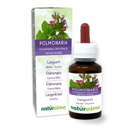 Lungwort (Pulmonaria officinalis) herb with Flowers Alcohol-Free Mother Tincture Naturalma - Liquid Extract Drops 60 ml - Food Supplement - Vegan