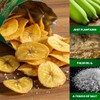 Gembos Plantain Chips Salty Snack Pack - Delicious Vegan Chips