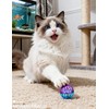 HEUHAI 15-Piece Cat Toy Set for Kittens and Indoor Cats