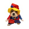Midlee Clown Dog Costume