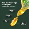 NatuRise Omega 3 Capsules Vegan - 1440mg Algae Oil per