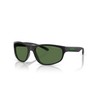ARNETTE Sunglasses AN 4351 29672P Transp Grey Matte/Shiny/Polar Green Policarb