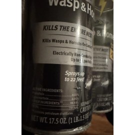Raid Wasp & Hornet Spray For Outdoor Use 22 ft 17.5oz 3 Pack 100% Recyclable Pkg